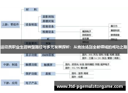 运动员职业生涯转型路径与多元发展探析：从竞技场到全新领域的成功之路