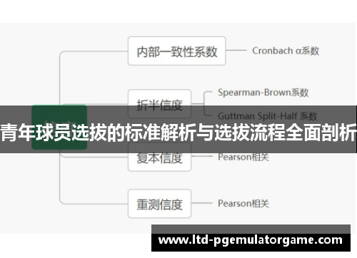 青年球员选拔的标准解析与选拔流程全面剖析