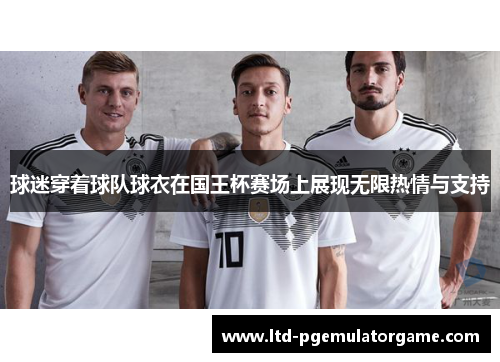球迷穿着球队球衣在国王杯赛场上展现无限热情与支持